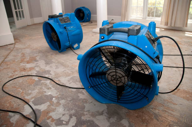 Best Commercial water damage restoration  in Farmersville, CA