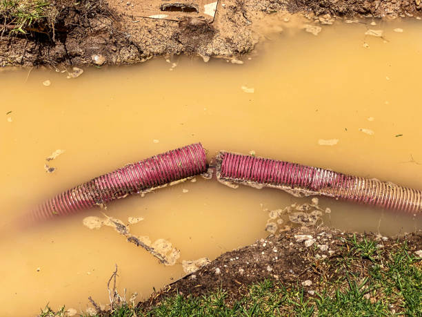 Best Water damage cleanup near me  in Farmersville, CA