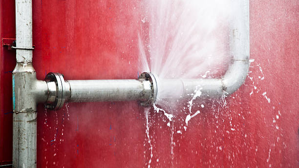 Best Professional water damage repair  in Farmersville, CA